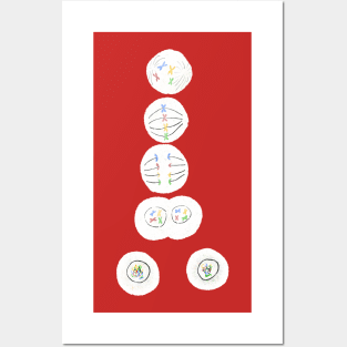 Mitosis Cell Division Biology Science Black Posters and Art